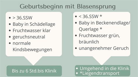 Schema: Ablauf nach einem Blasensprung, inklusive der Frage nach der Kopfposition des Kindes und der Lagerung.