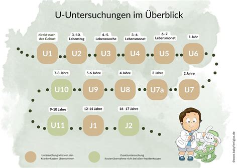 Schema: Ablauf der U-Untersuchungen (U1, U2, U3) mit den jeweiligen Schwerpunkten
