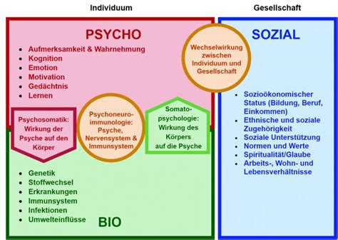 Schema, das die verschiedenen Faktoren (hormonell, körperlich, sozial) darstellt, die zur postnatalen Depression beitragen können.
