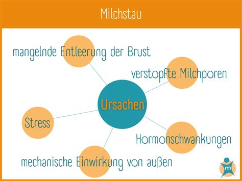 Infografik mit Übersicht der wichtigsten homöopathischen Mittel bei Milchstau und Brustentzündung