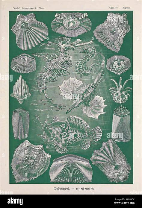 Detailaufnahme eines Netz-Laufgitters, das die Sichtbarkeit hervorhebt