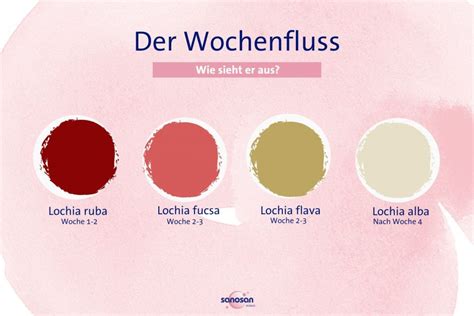 Illustration, die den Wochenfluss und die benötigten Binden zeigt.