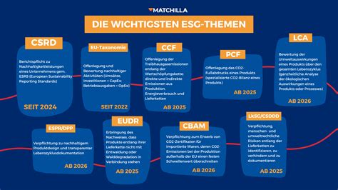Übersicht der wichtigsten Nachuntersuchungen für Neugeborene.