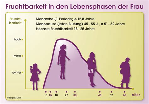 Statistik zur Fruchtbarkeit von Frauen nach Altersgruppen
