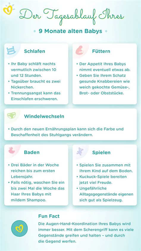 Visuelle Darstellung der empfohlenen Breimahlzeiten im Tagesablauf eines Babys.