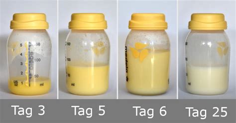 Schema der Umstellung von Vormilch auf reife Muttermilch