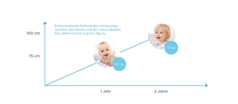 Illustration: Vergleich der Wachstumsphasen eines Kindes und der passenden Kindersitze