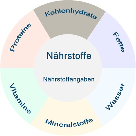Infografik: Übersicht über wichtige Nährstoffe in der Schwangerschaft und deren Funktionen