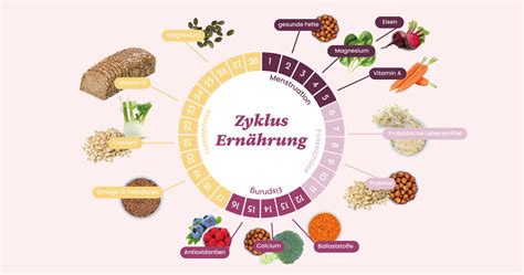 Bilder von verschiedenen gesunden Lebensmitteln, die für die Ernährung im Zyklus empfohlen werden (z.B. Beeren, Nüsse, grünes Blattgemüse)