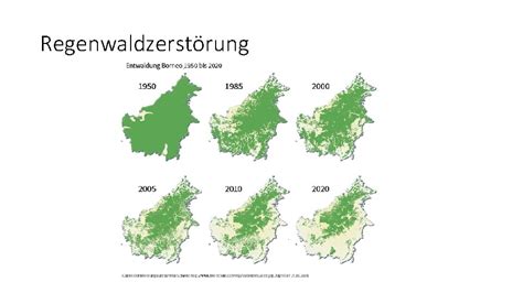 Karte der Regenwaldzerstörung in Indonesien und Malaysia im Zusammenhang mit Palmölplantagen
