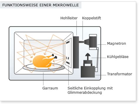 Schematische Darstellung des NUK Mikrowellen Dampf-Vaporisators mit Beschriftung der Einzelteile