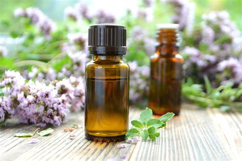 Darstellung der Inhaltsstoffe des Thymian-Myrte-Balsams, wie Thymian, Myrte und ätherische Öle, auf einem neutralen Hintergrund.