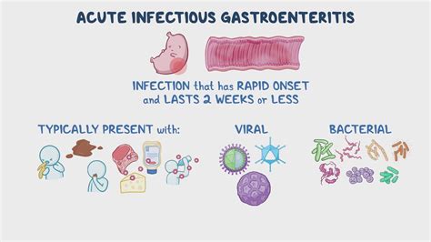 Vergleichstabelle: Symptome viraler vs. bakterieller Gastroenteritis bei Kindern