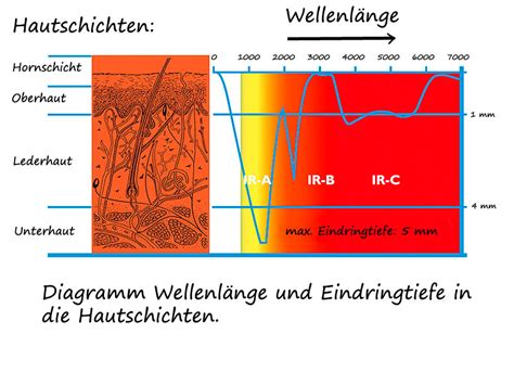 Vergleich der Eindringtiefe verschiedener Infrarotstrahlungsarten in die Haut.