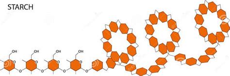 Darstellung der chemischen Struktur von Myo-Inositol