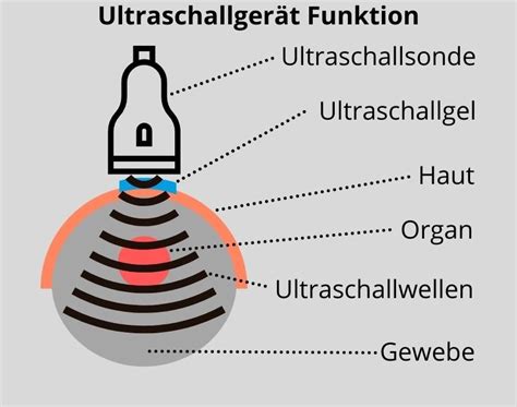 Illustration der Funktionsweise eines CTG-Geräts mit Ultraschall- und Drucksensor