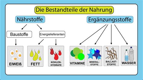 Schema der Zusammensetzung von Säuglingsanfangsnahrung mit wichtigen Nährstoffen