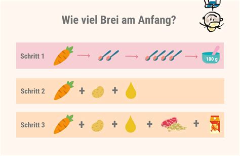 Infografik zur empfohlenen Reihenfolge und Konsistenz von Babybrei