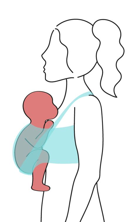 Schema zur korrekten Anhock-Spreiz-Haltung beim Tragen eines Babys