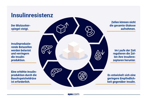 Infografik, die die Wechselwirkungen zwischen Insulinresistenz, Androgenüberschuss und den Symptomen von PCOS darstellt.