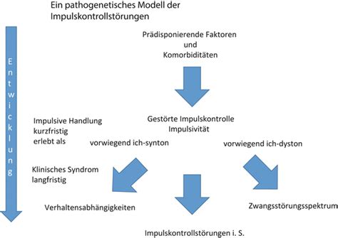 Infografik, die verschiedene Einflussfaktoren auf die Impulskontrolle darstellt (Genetik, Umfeld, Gehirnentwicklung)