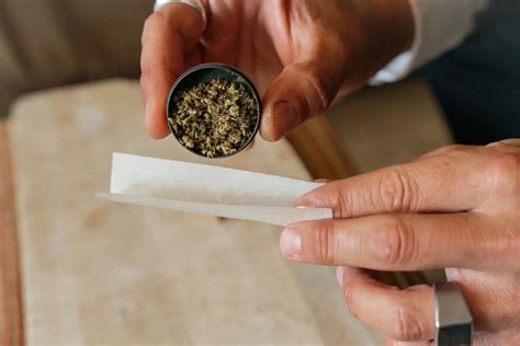 Schema zur korrekten Anwendung des 5-Punkt-Sicherheitsgurtes