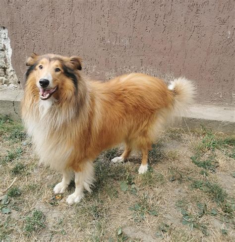 Säugling, der von einer Polizistin in Obhut genommen wird, nachdem er ausgesetzt gefunden wurde.