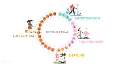 Visuelle Darstellung der vier Zyklusphasen mit den jeweiligen hormonellen Schwankungen und Stimmungsprofilen