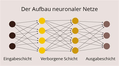 Schema zur Darstellung der Wechselwirkungen neuronaler Systeme bei der Aggressionsbewältigung