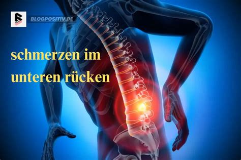 Illustration, die die verschiedenen Schmerzpunkte im Unterleib und Rücken während der Schwangerschaft zeigt