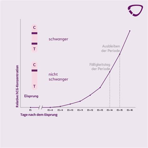 Grafik zur exponentiellen Steigerung der hCG-Konzentration in der Frühschwangerschaft