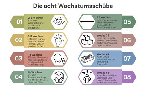 Infografik mit den Zeitpunkten der 8 Wachstumsschübe im ersten Lebensjahr