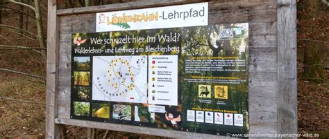 Ein Lehrpfad durch einen Wald mit Informationstafeln