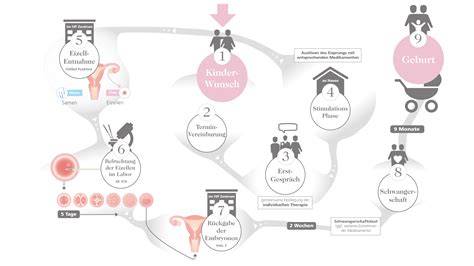 Infografik, die den Prozess der Kinderwunschbehandlung von der Diagnose bis zur Schwangerschaft darstellt