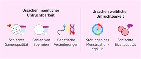 Schema, das die verschiedenen Ursachen weiblicher und männlicher Unfruchtbarkeit aufzeigt