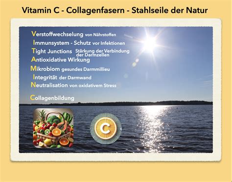 Infografik: Vorteile von Vitamin C bei der Eisenaufnahme