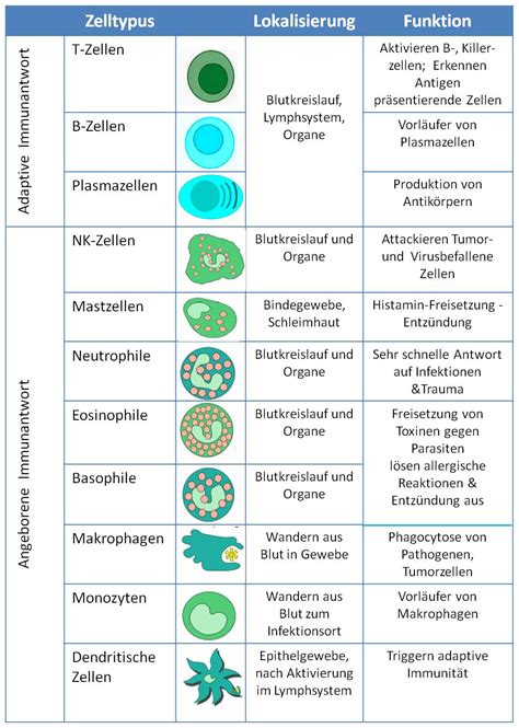 Abbildung verschiedener Arten von Stilleinlagen