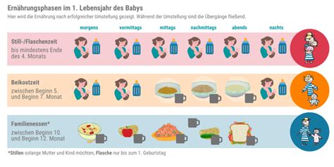 Schema des Einkochprozesses für Babybrei im Backofen