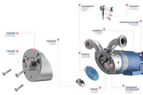 Aufbau einer WUFLEX-Pumpe