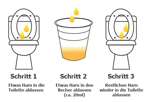 Schema zur korrekten Entnahme von Mittelstrahlurin