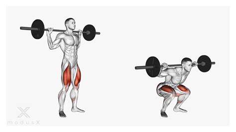 Illustration: Beispiele für sichere Kraftübungen in der Schwangerschaft (Kniebeugen, Brücke, Katze-Kuh)
