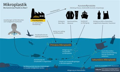 Infografik zur Belastung von Babyflaschen mit Mikroplastik