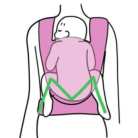 Schema zur korrekten Einstellung des Stegs der Babytrage, das die Anhock-Spreiz-Haltung zeigt.