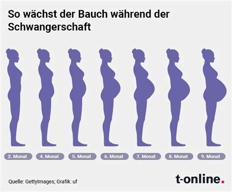 Ein Diagramm, das die durchschnittliche Zunahme des Bauchumfangs in Zentimetern pro Schwangerschaftswoche zeigt.