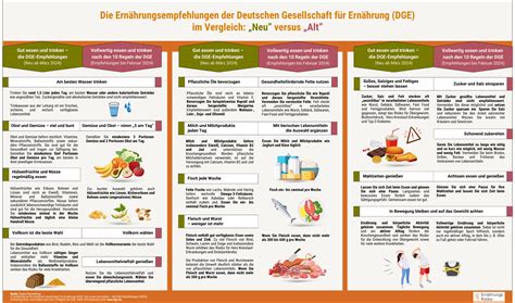Infografik, die die wichtigsten Empfehlungen zur Vermeidung von SIDS zusammenfasst.