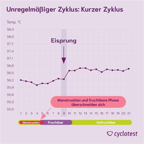 Vergleichsgrafik von Basaltemperaturkurven bei normalen, kurzen und langen Menstruationszyklen.