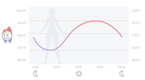 Infografik, die die natürlichen täglichen Schwankungen der Körperkerntemperatur über 24 Stunden darstellt.