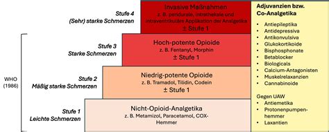 Schema zur Klassifizierung von Dammrissen (Grad I-IV).