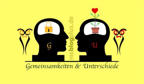 Schema, das die Unterschiede und Gemeinsamkeiten zwischen klassischem und hebammen-geleitetem Kreißsaal darstellt