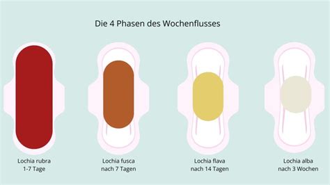 Schema des Wochenflusses und seiner Zusammensetzung